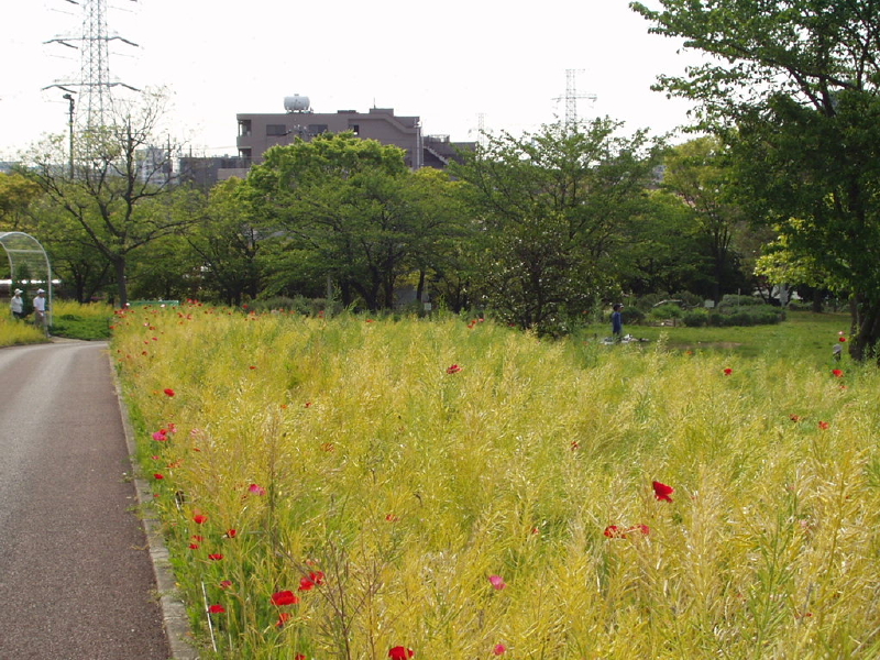 img0049.jpg