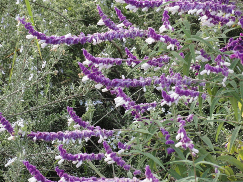 img0054.jpg
