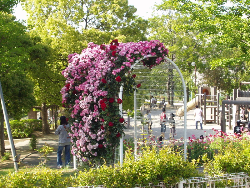 img0064.jpg