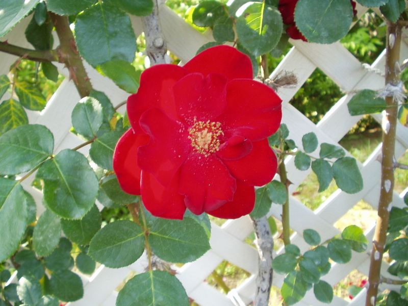 img0075.jpg