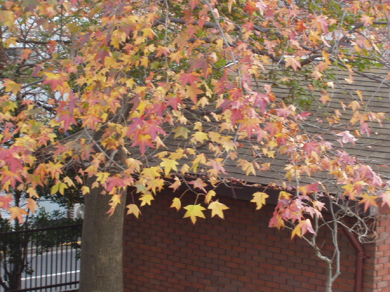 img0082.jpg