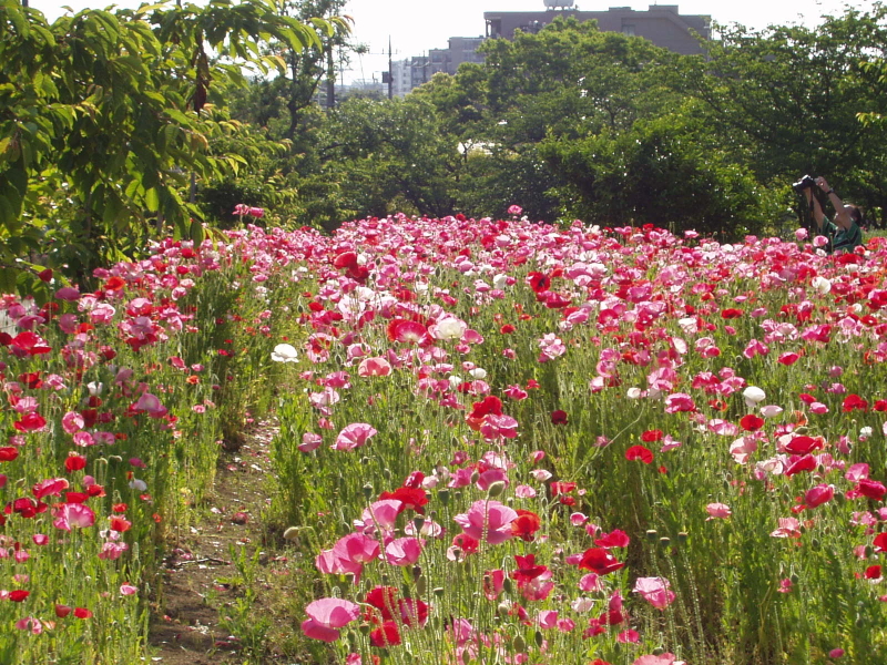 img0084.jpg