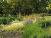img0021.jpg
