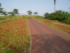 img0023.jpg