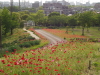 img0026.jpg