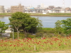 img0028.jpg