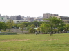 img0029.jpg