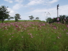 img0035.jpg