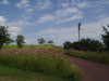 img0037.jpg