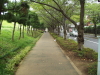 img0038.jpg