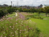 img0039.jpg