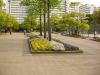 img0040.jpg