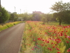 img0043.jpg