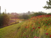 img0044.jpg