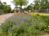img0045.jpg