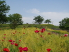 img0047.jpg