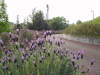 img0050.jpg