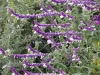 img0054.jpg