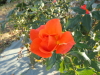 img0058.jpg