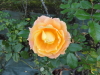 img0059.jpg