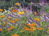img0063.jpg