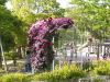 img0064.jpg