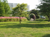 img0065.jpg