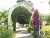 img0067.jpg