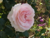 img0068.jpg