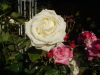 img0076.jpg