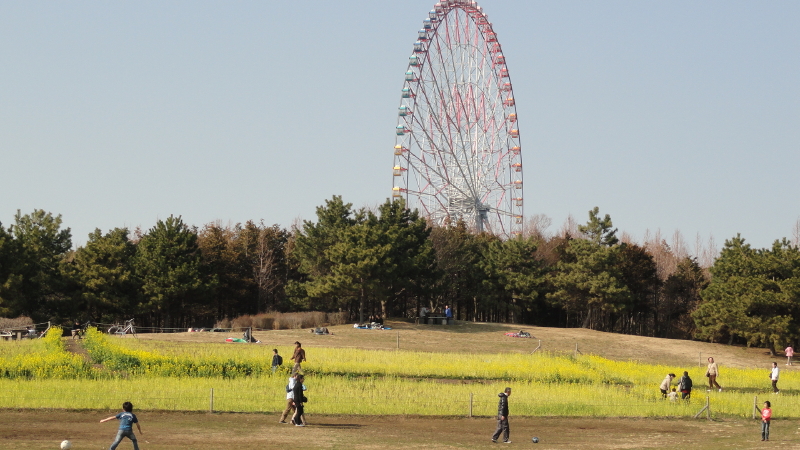 img0002.jpg