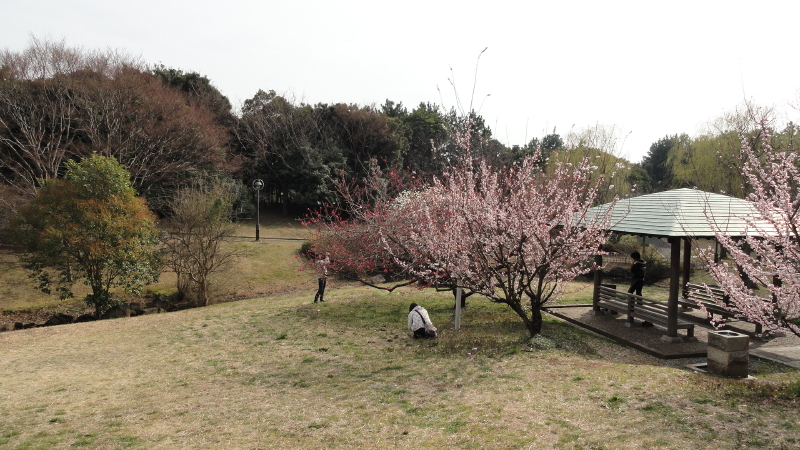 img0005.jpg