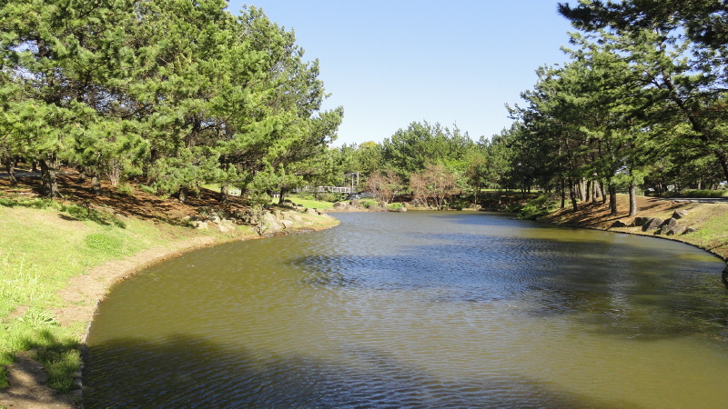 img0011.jpg