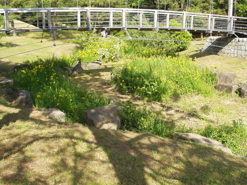 img0015.jpg
