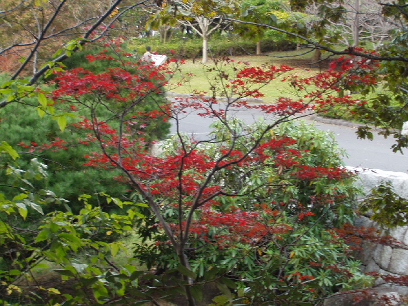 img0027.jpg