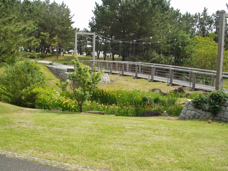 img0033.jpg