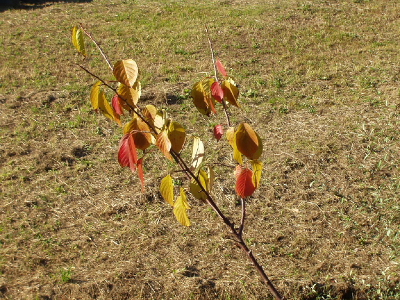 img0049.jpg