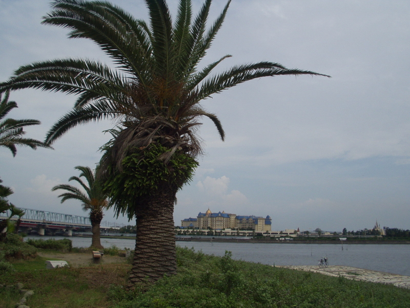 img0054.jpg