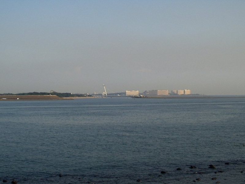 img0060.jpg