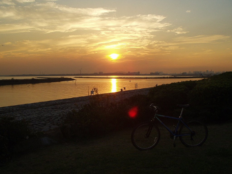 img0061.jpg