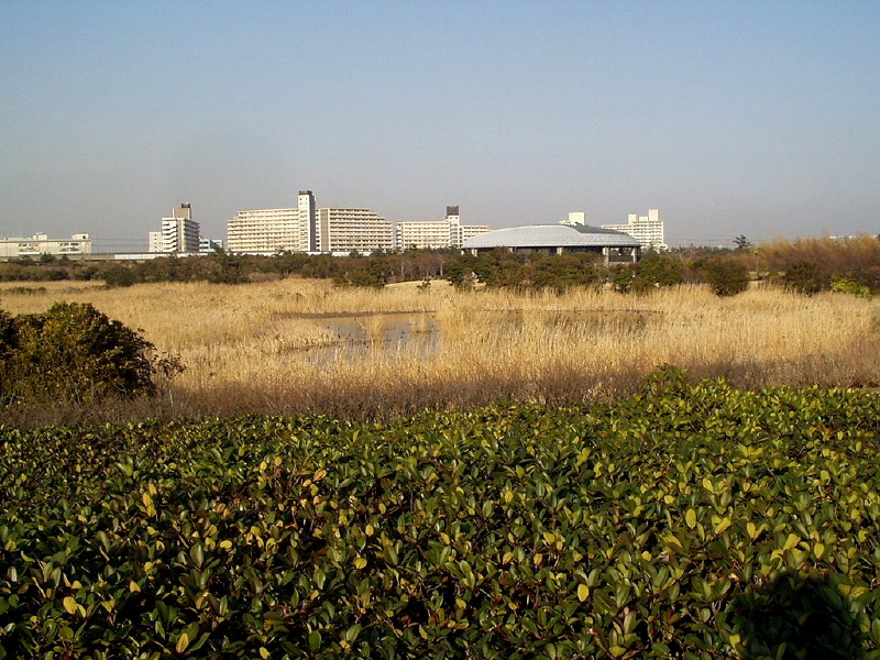 img0081.jpg