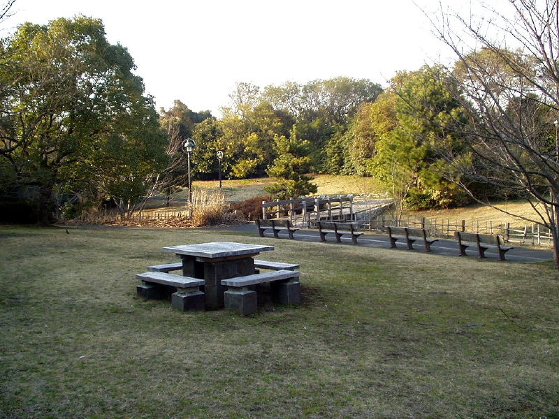 img0082.jpg