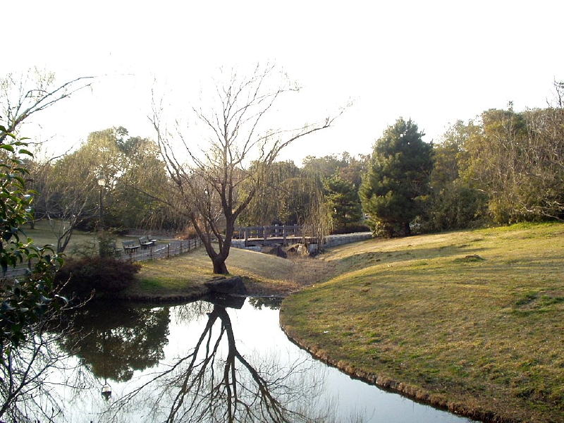 img0083.jpg
