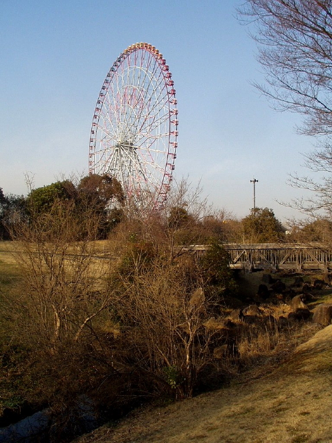 img0084.jpg