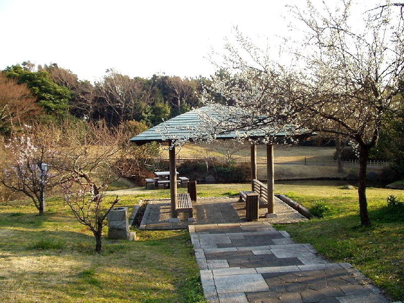 img0085.jpg