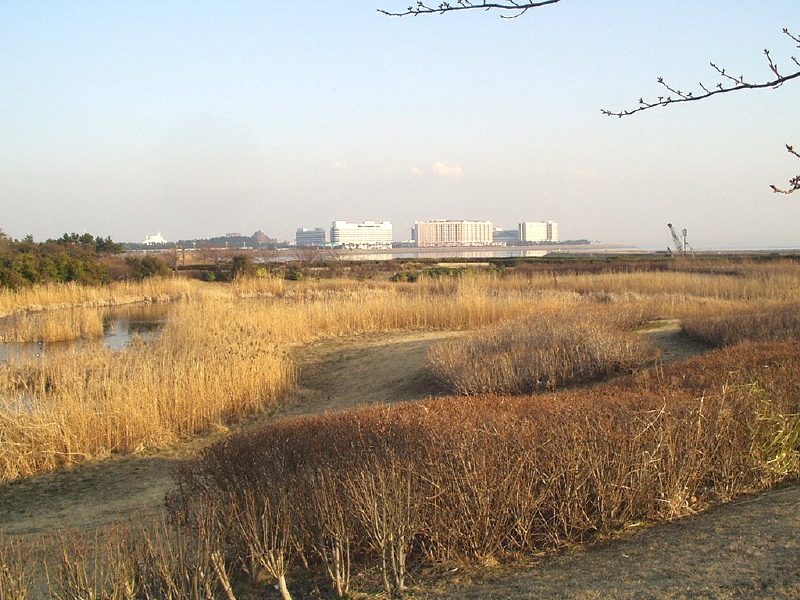 img0087.jpg