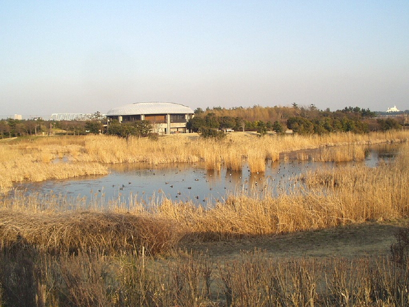 img0088.jpg