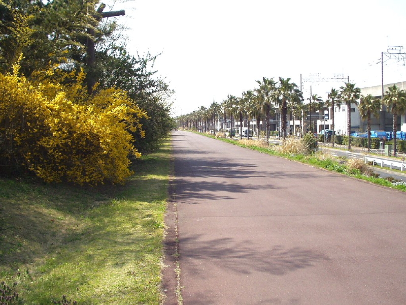 img0091.jpg