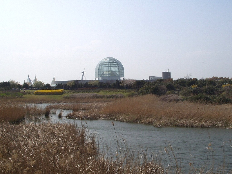 img0094.jpg