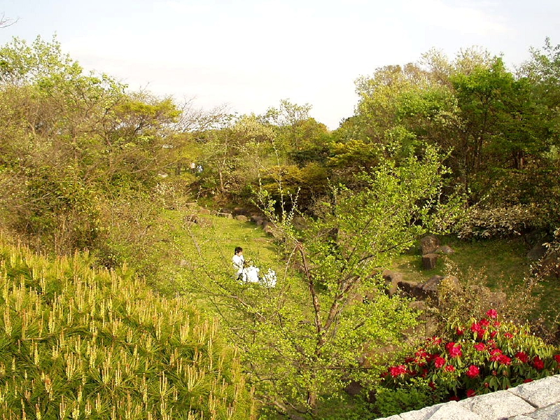 img0095.jpg